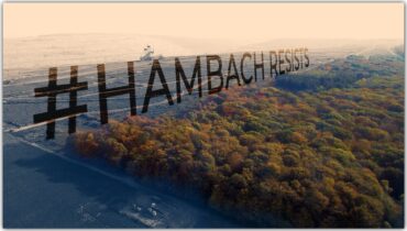 SUSPENSION OF FELLING IN HAMBACH FOREST