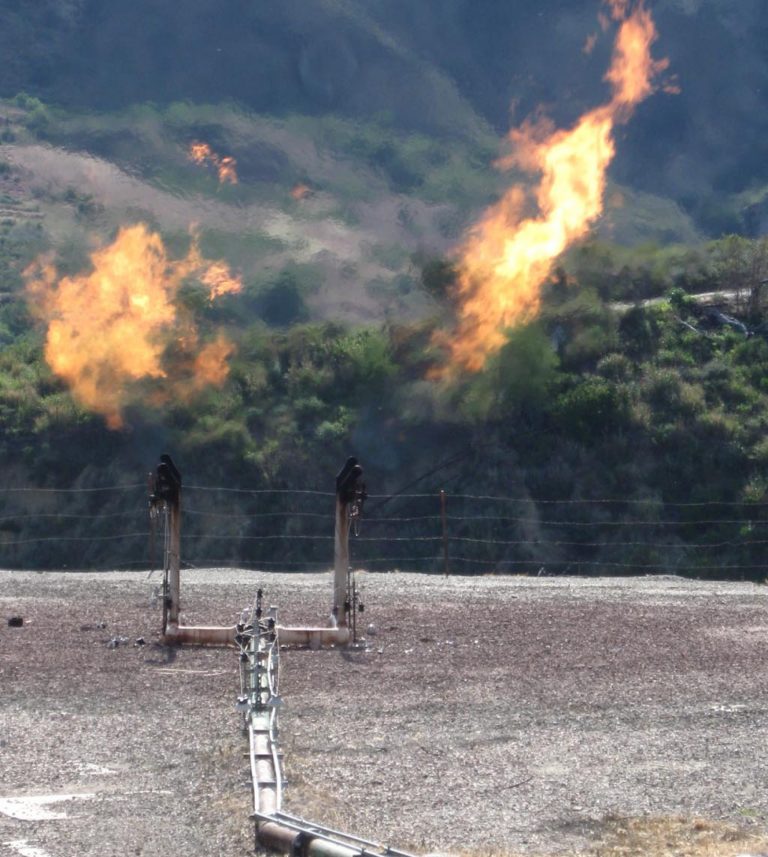 ECOAR WILL PARTICIPATE IN THE NEXT CAMP IN GAS IN ACTION ECOAR WILL PARTICIPATE IN THE NEXT CAMP IN GAS IN ACTION