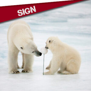 SIGN : SAVE THE ARCTIC!