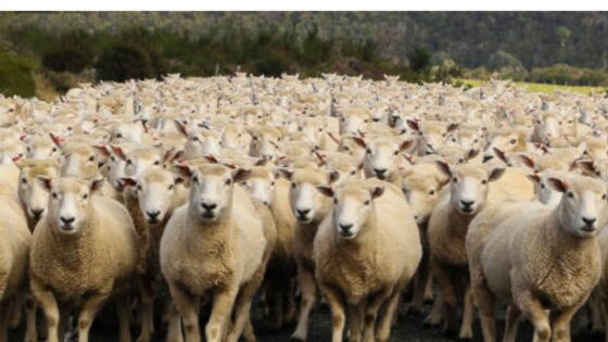 Gañar o relato! Manual para combater o discurso de ultradereita. (IV). Que fai que as persoas fiquen bloqueadas ou se deixen levar?